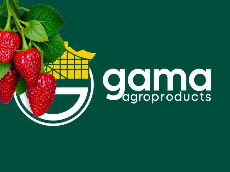 Flour and grain products